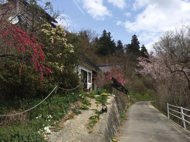 Guesthouse In Lak'ech - Vacation STAY 03558v - B&B Kamiikusaka