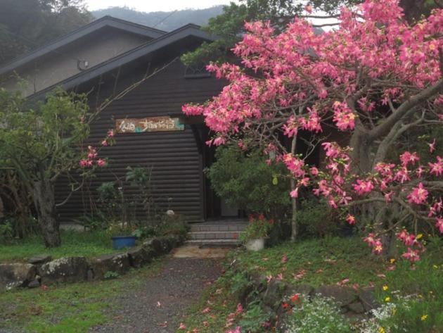 Amami skeptical inn - Vacation STAY 14029v - B&B