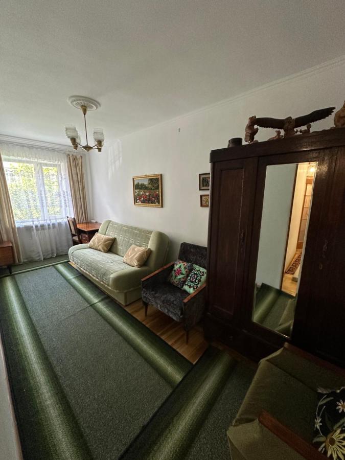 2 кімнатна квартира Трускавець,поруч центр та Дельфінарій - B&B