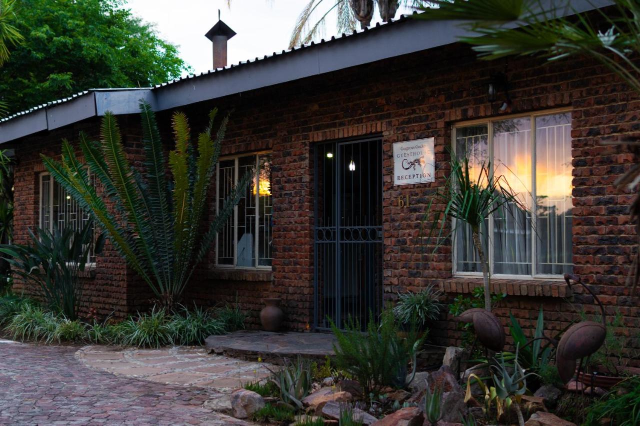 Gorgeous Gecko Guesthouse - Ferienwohnung Modimolle
