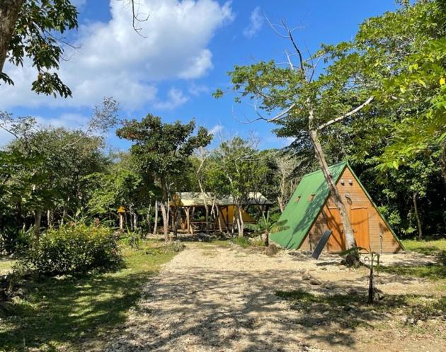 RAINBOW FOREST Permaculture filed - Vacation STAY 13693v - B&B Ibaruma