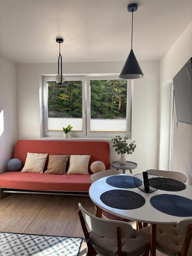 Dębina Spot 19 - Ferienwohnung Debina