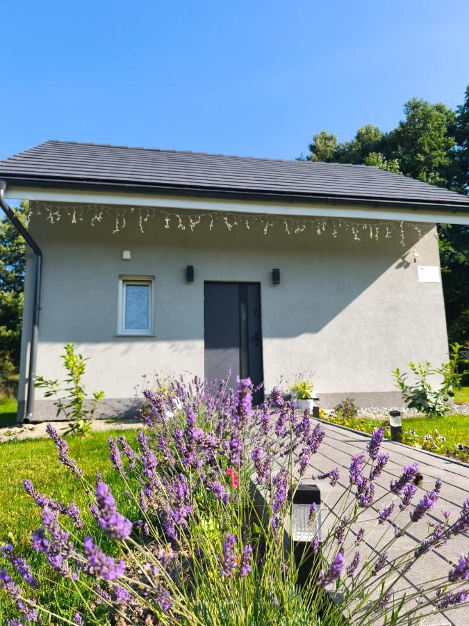 Mia Domo - wypoczynek w Górach Suchych, Kamiennych i Sowich - B&B Głuszyca