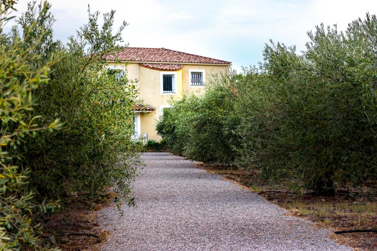 Domaine Des Lucques B&B with Private Infinity Pool & Grand Olive Grove - Chambres d’hôtes Bize-Minervois