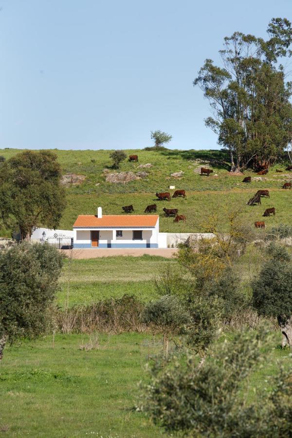 Casa con 1 dormitorio