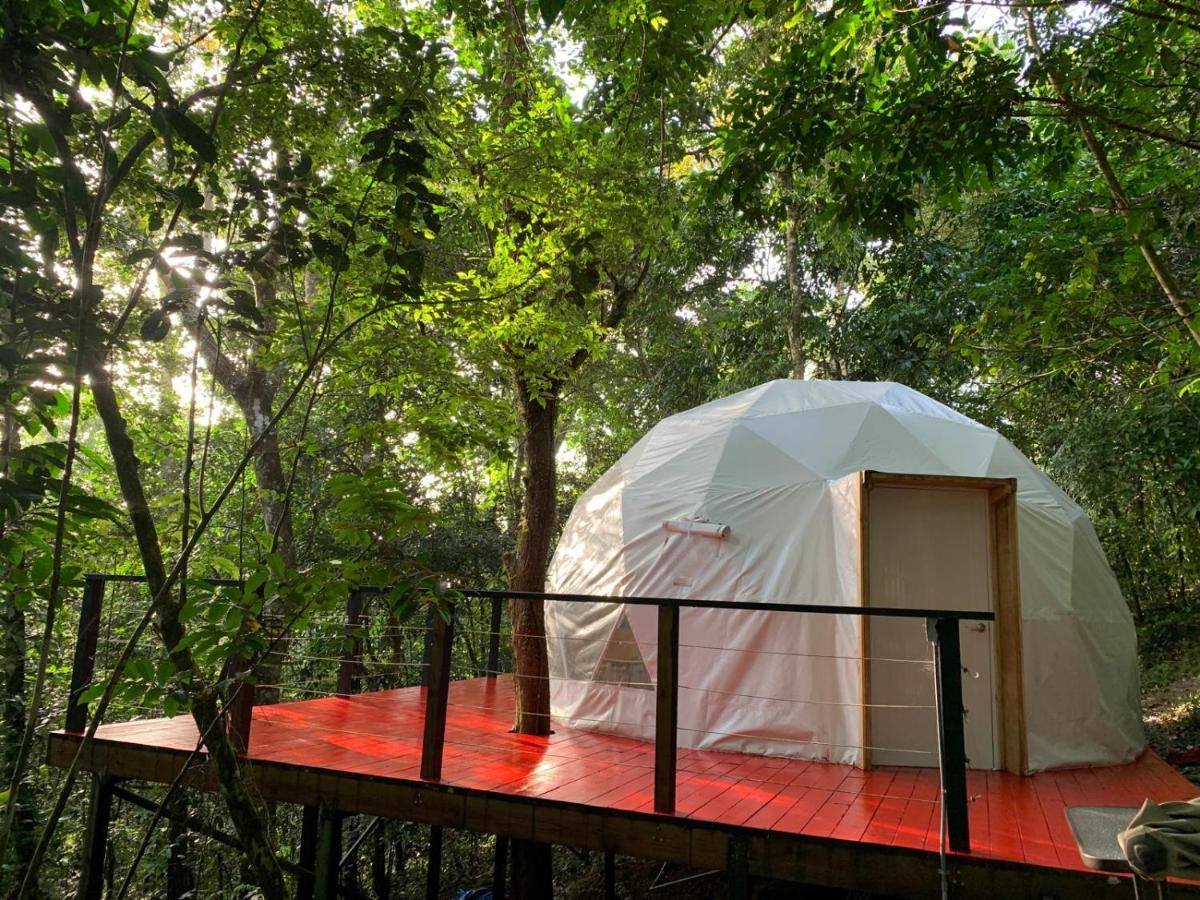 Indómito Domes at El Yunque Zone - B&B Jayuya