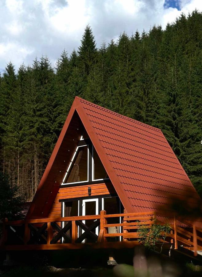 Під озером Синевир 2 - B&B Synevyrska Poliana