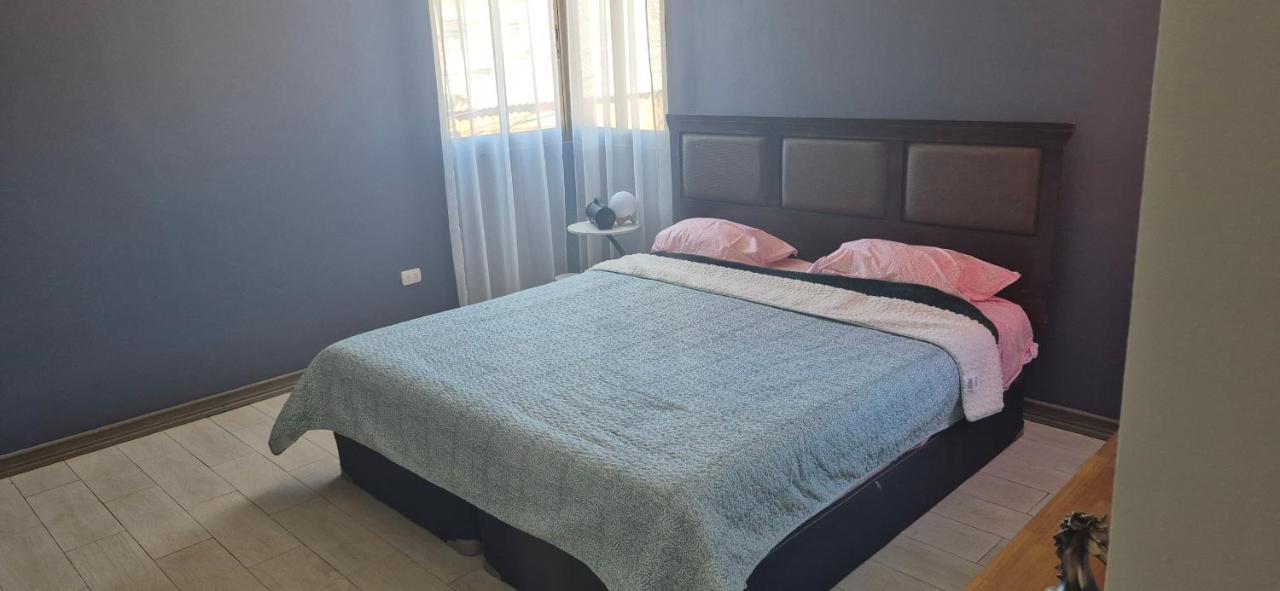 Hostal Mediterraneo - B&B