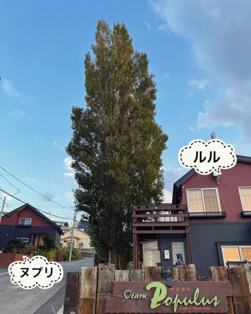 Populus-club Otaru - Vacation STAY 93686v - B&B