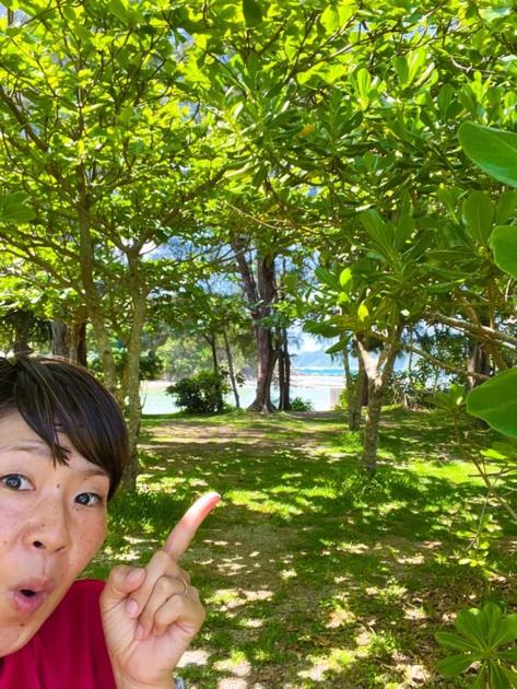 Keisaji CAMP SITE - Vacation STAY 90073v - B&B