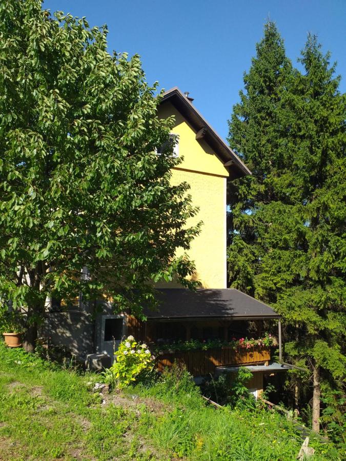 Ferienwohnung Rosenbach OG - Ferienwohnung Rosenbach