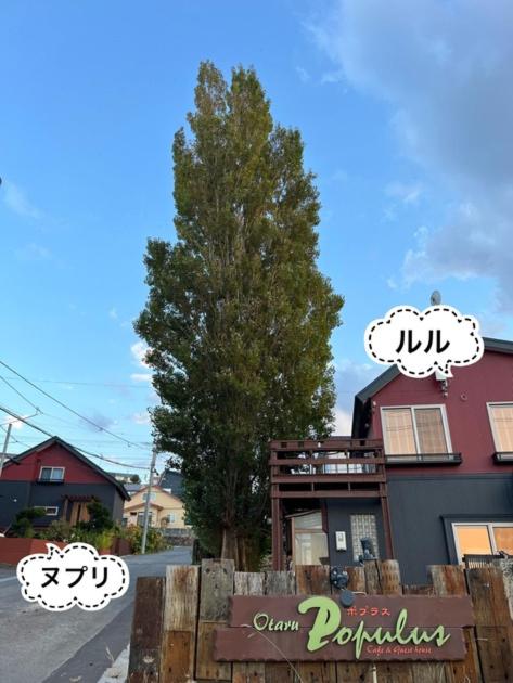 Populasunupuri - Vacation STAY 62945v - B&B Otaru