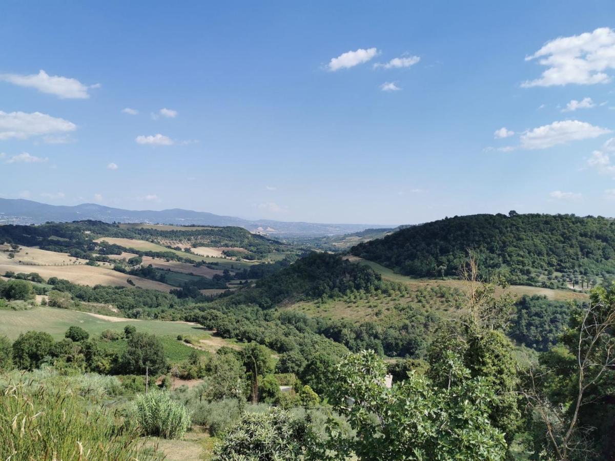 Torre Del Melograno With Heated Pool - B&B Lubriano