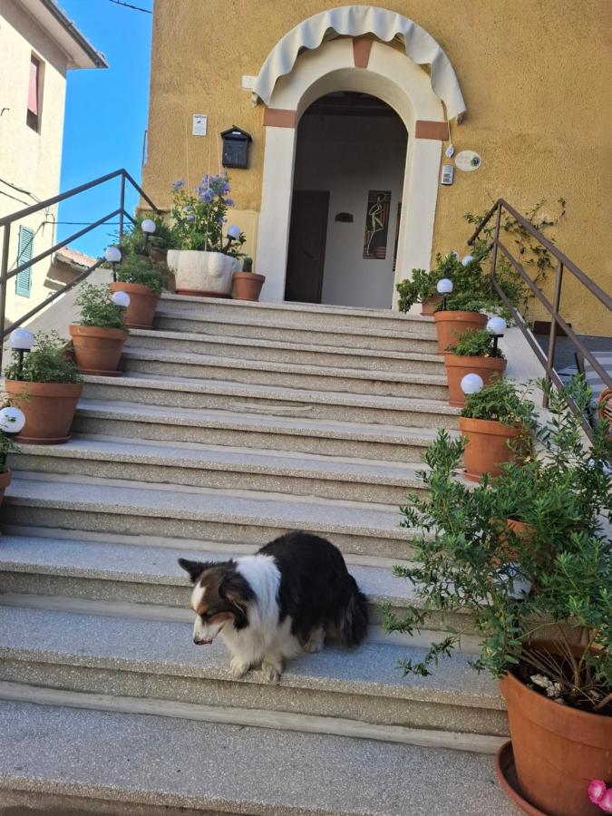 Villa Viola - B&B
