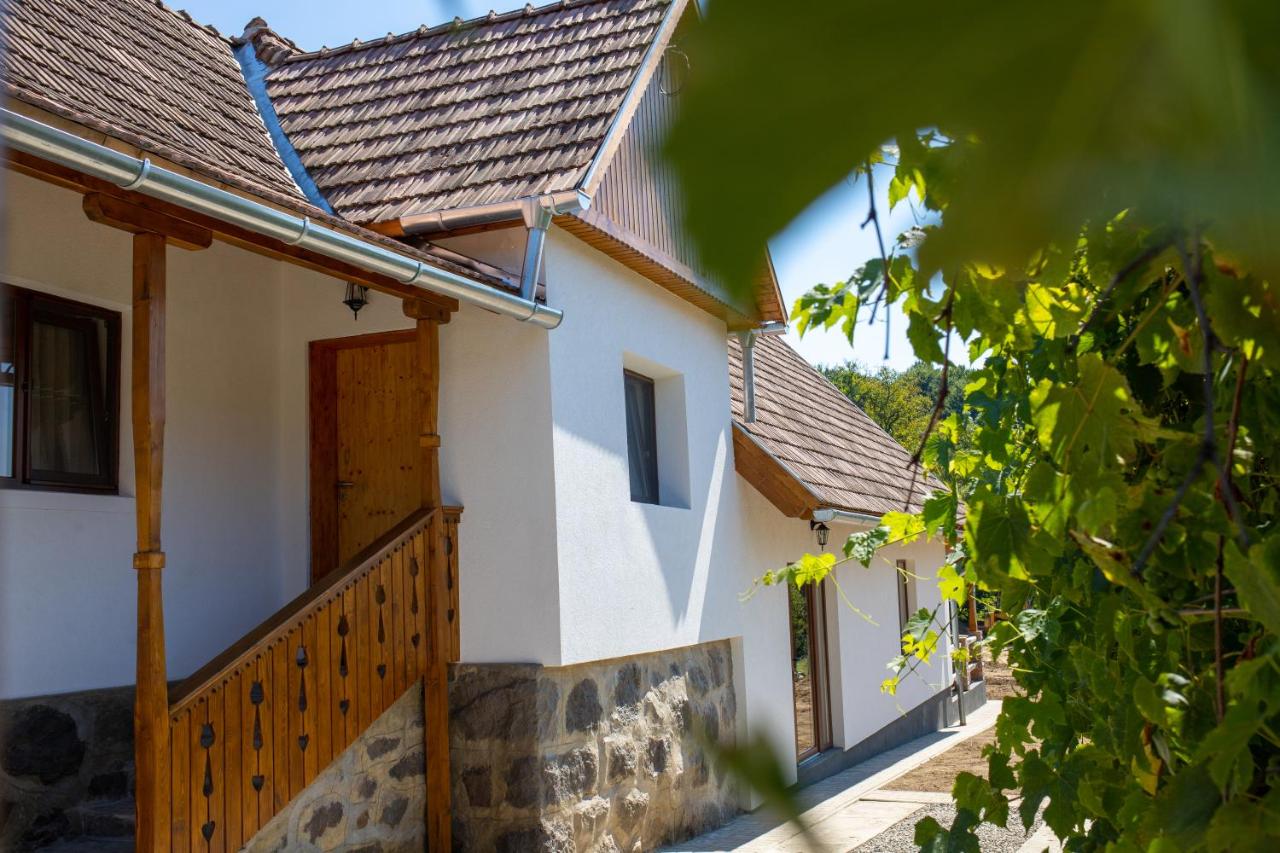 Hegyi Lak - Bed and Breakfast Bartoştana