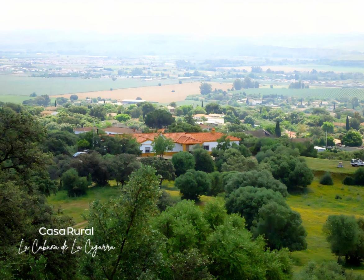 La Cabaña de la Cigarra - B&B Almodóvar del Río