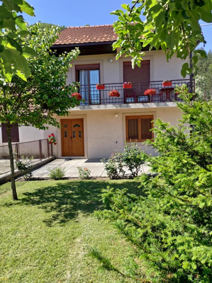 Apartman Damjanovic - Ferienwohnung Cetinje