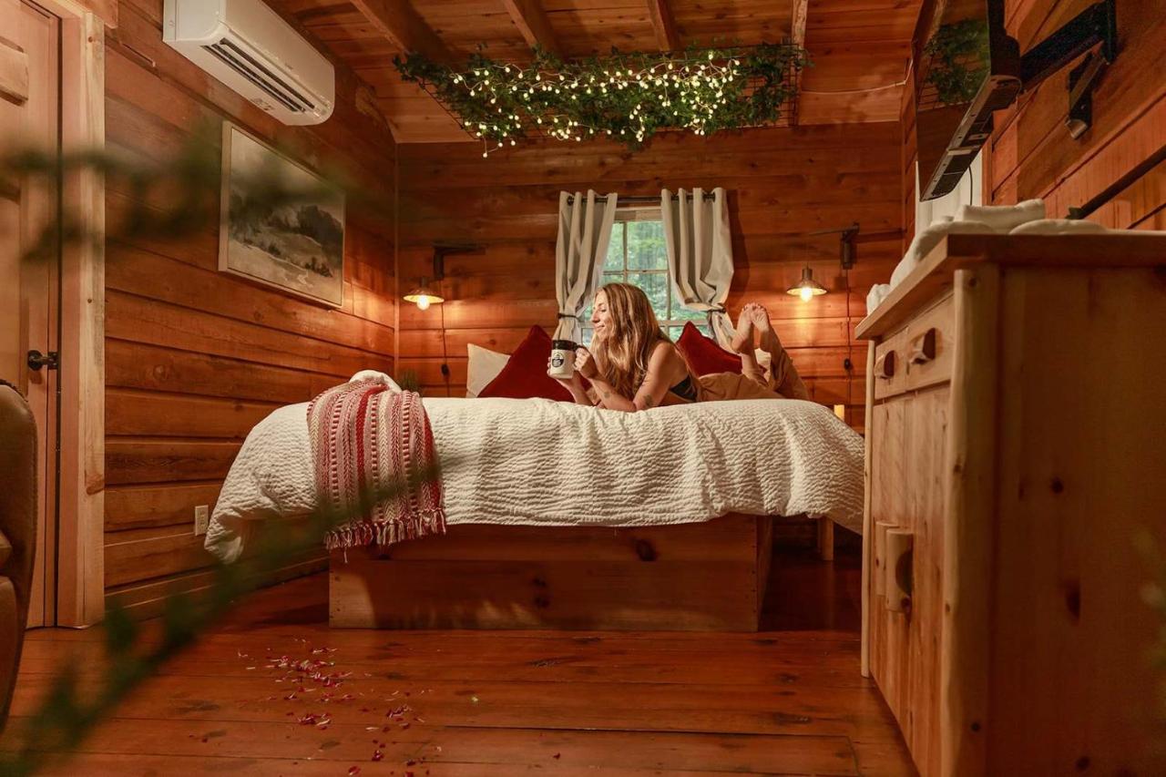 Buzzard Roost cabin at Cabin Fever in NC - Chambres d’hôtes Saluda