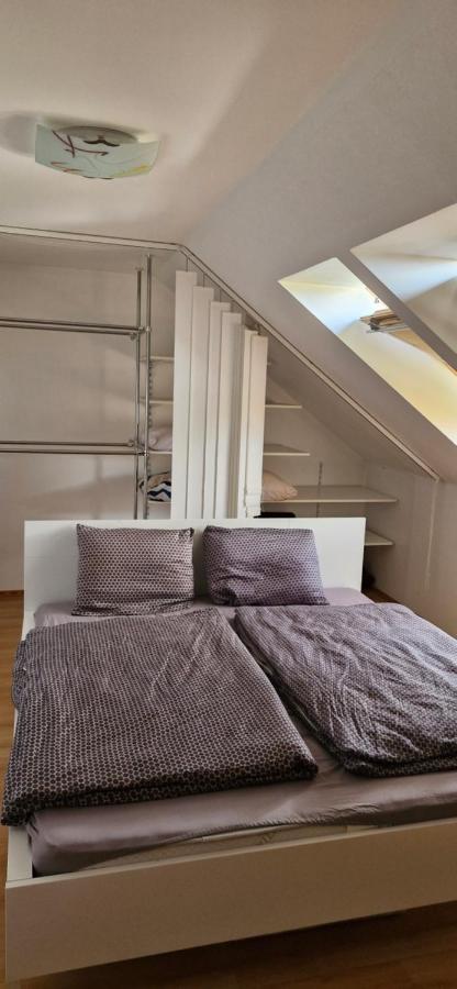 Spacious & Private Stay in Garliava - Ferienwohnung Garliava