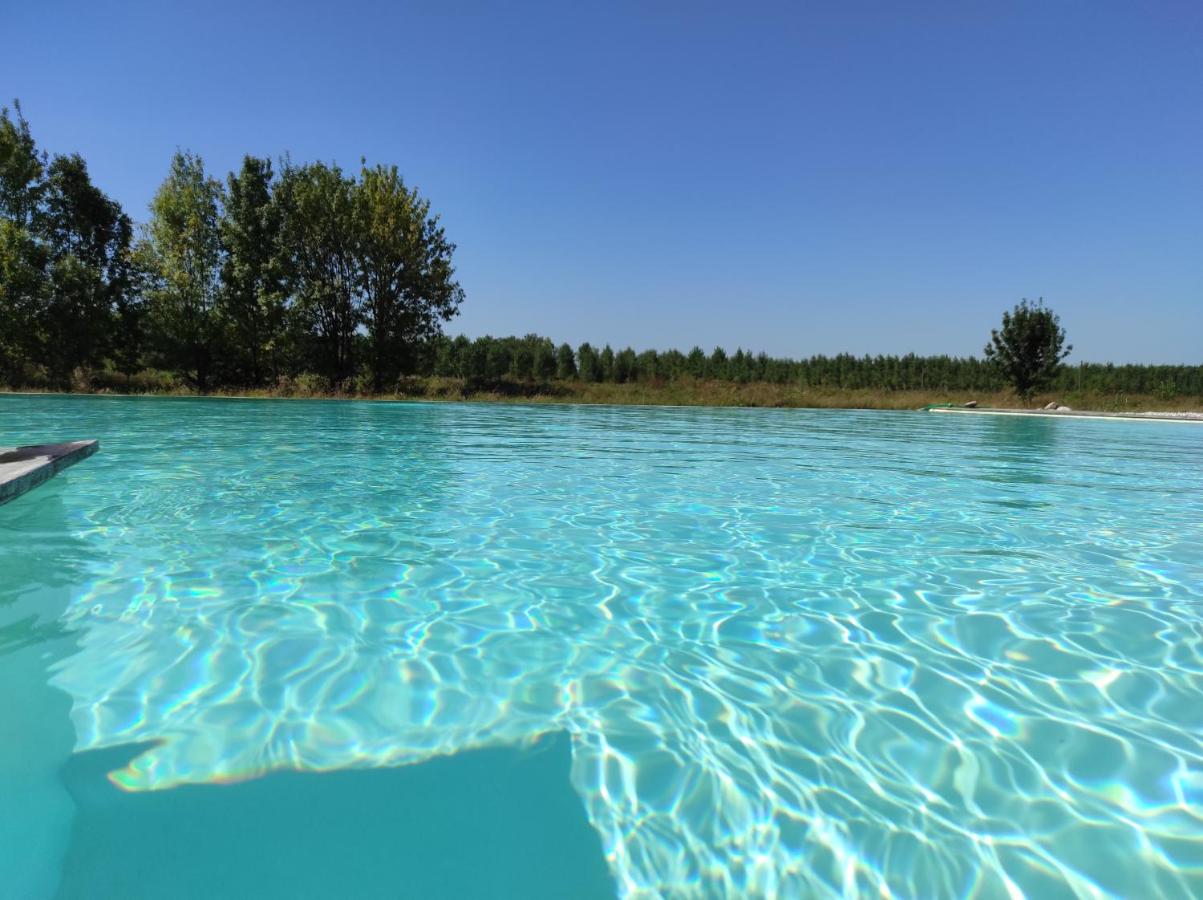 Grand gîte avec piscine MAISON PORT VALADE - B&B Tabanac