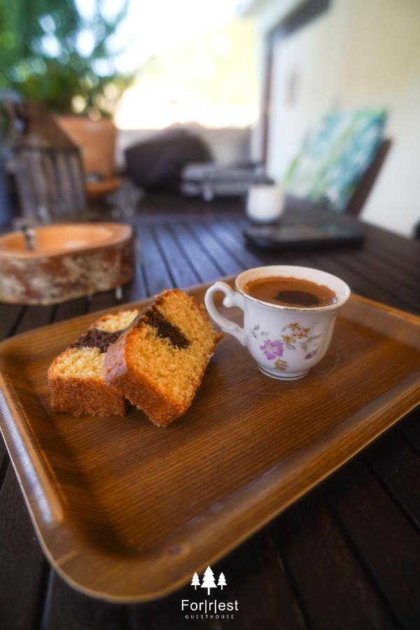 Forrest Guesthouse - B&B Polídhroson