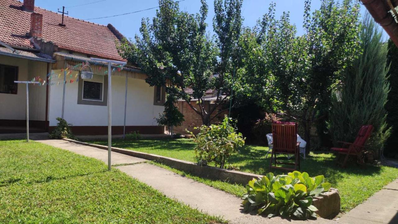 Ljuba - B&B Zrenjanin