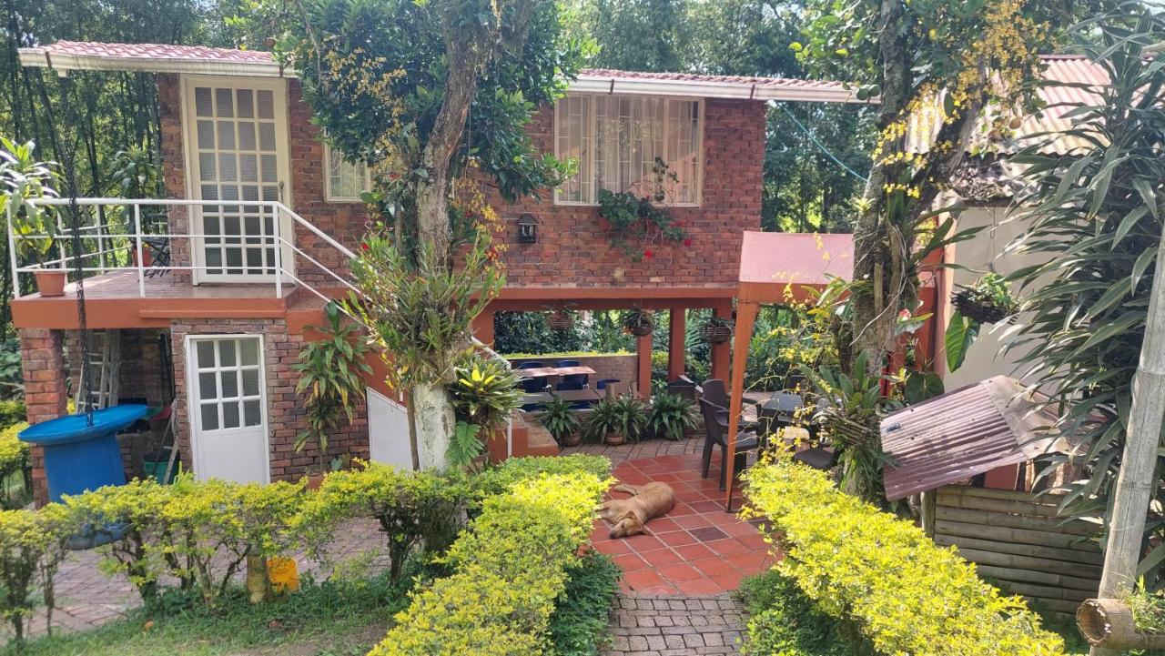 Alojamiento natural rural LOS NOGALES, apartamentos tipo glamping, avistamiento de aves, paisaje cafetero - Chambres d'hôtes San Francisco