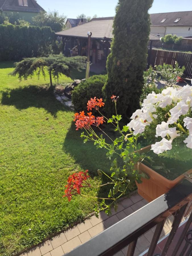 Emi's House - B&B Sângeorgiu de Mureş