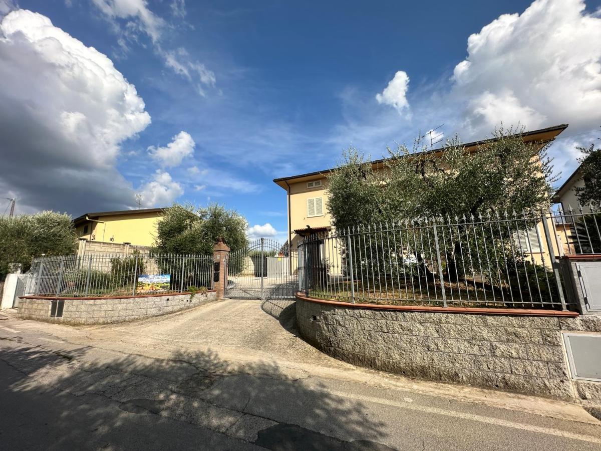 Casa in mezzo agli Ulivi - B&B Lamporecchio