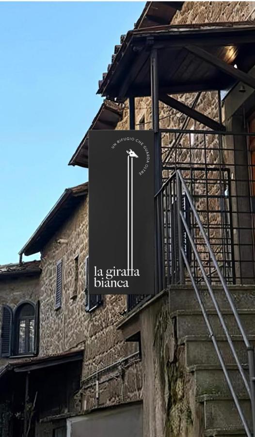 la giraffa bianca - B&B Vallerano