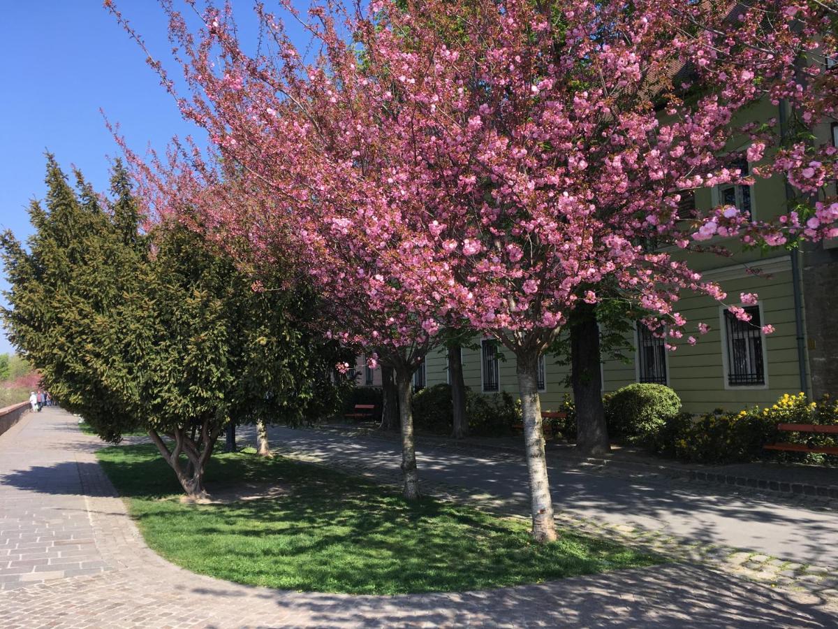 Castle Residence - B&B Budapest