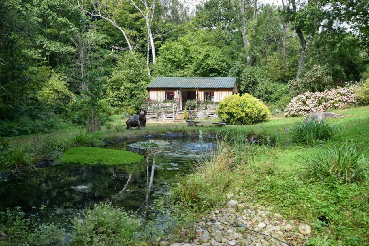 Sheila the Shed - B&B