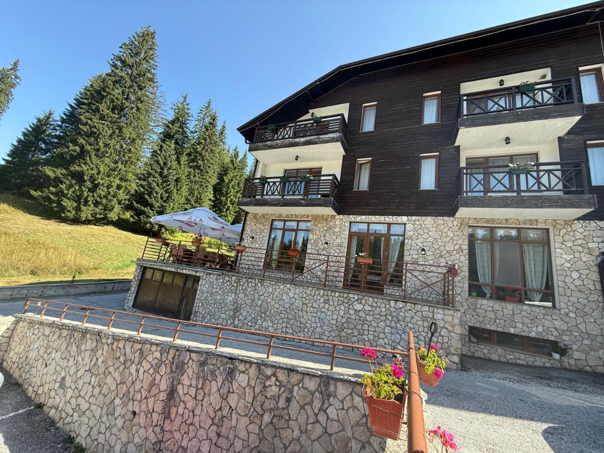 Forest Retreat, Stream Resort, Pamporovo - Bed and Breakfast Stoykite