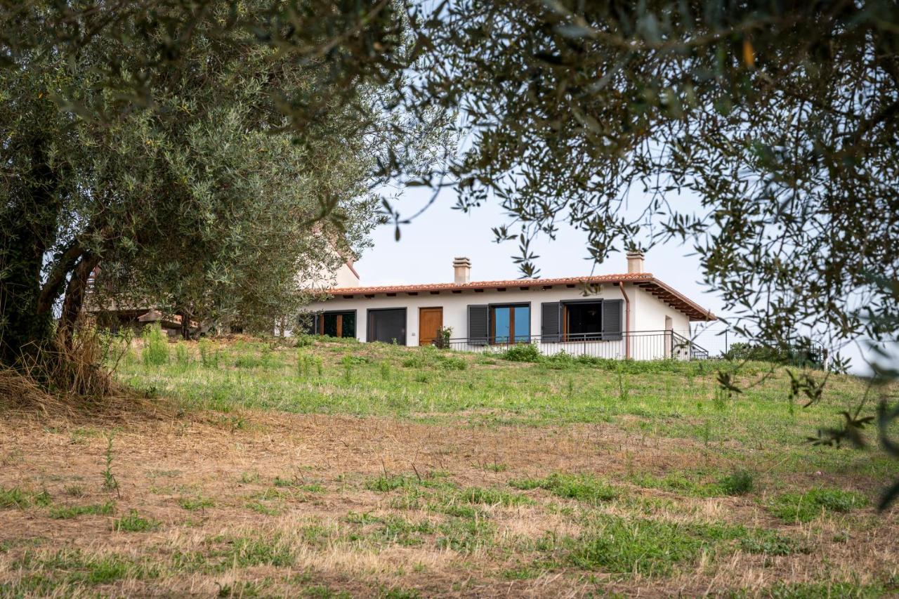 La Tuscia da Quassù - Ferienwohnung Montefiascone