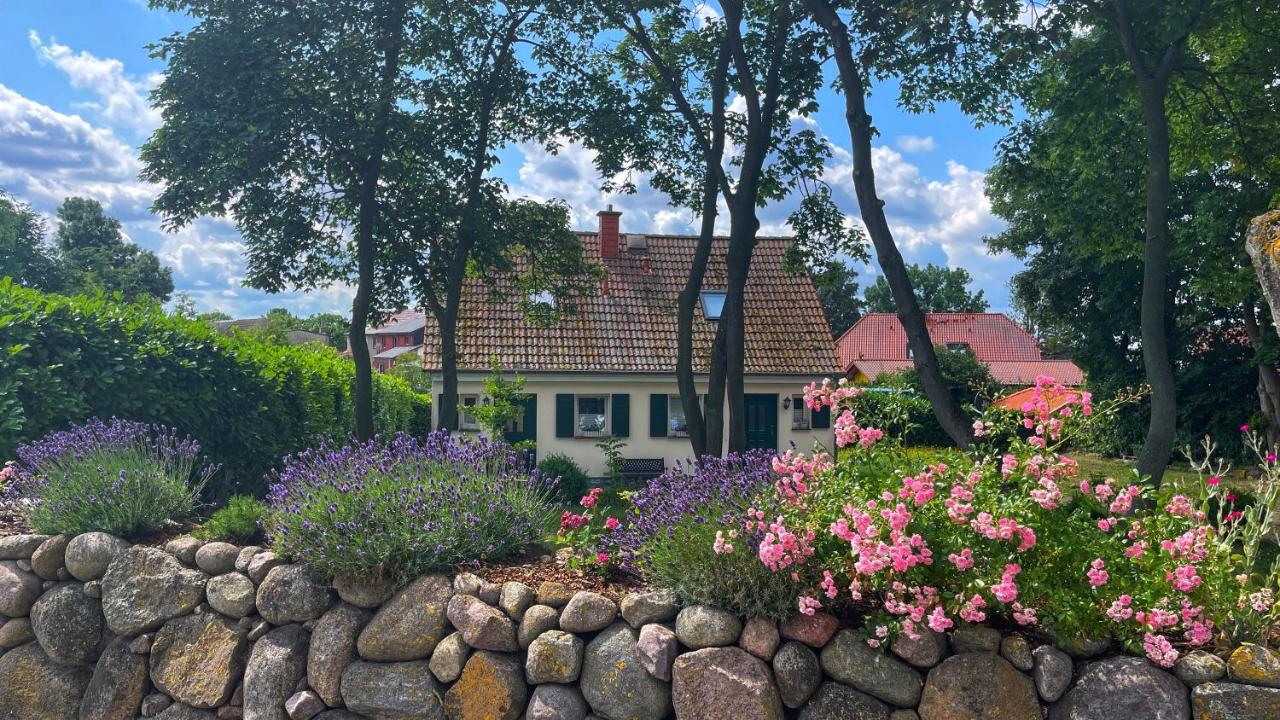 Ferienwohnung 1011 mit Seeblick - B&B Ziemitz