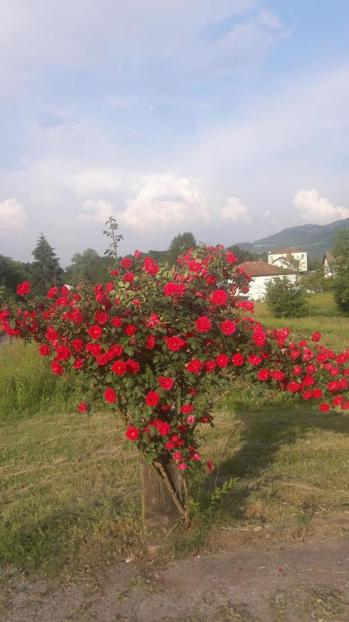 Residenza Letizia - B&B