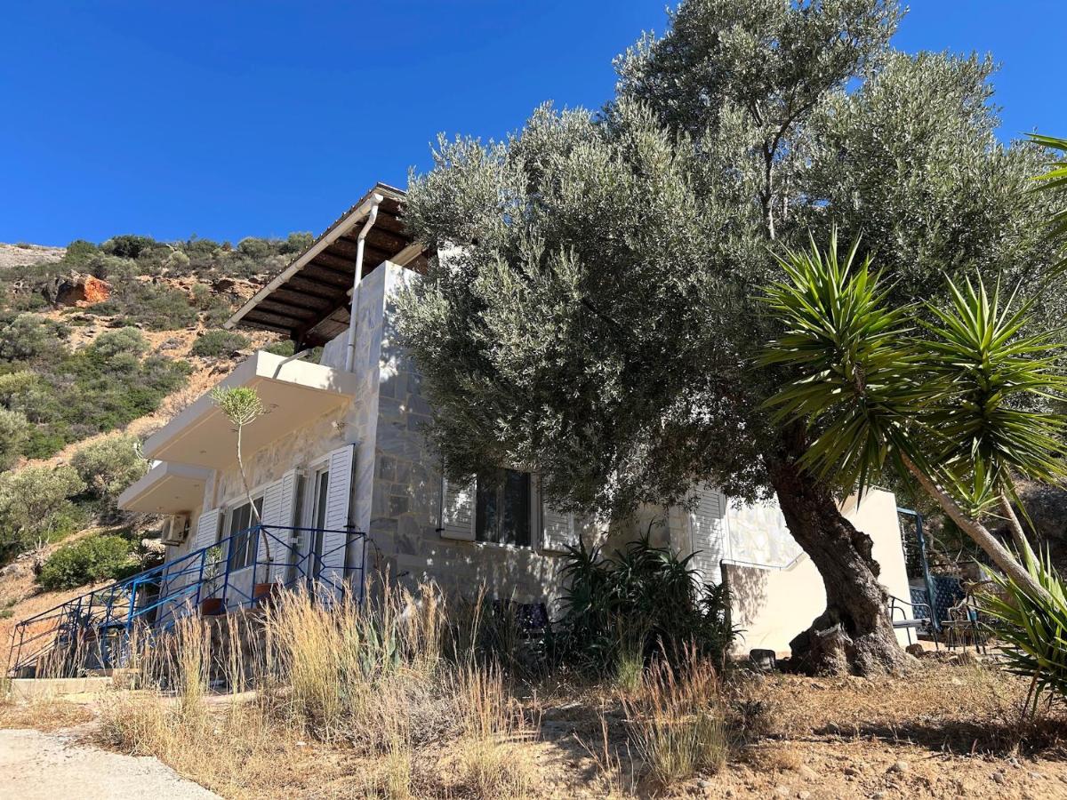 Meer an Oliven - B&B