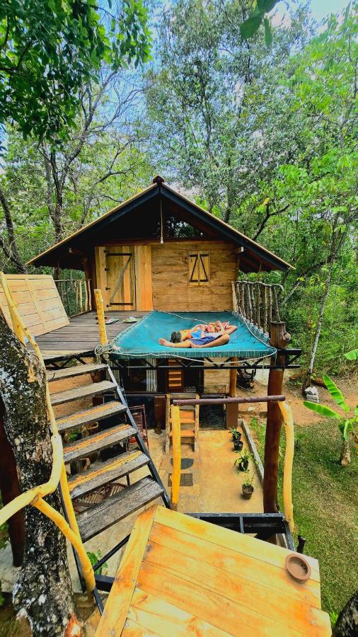 Hasthi Safari Cottage - B&B Udawalawa