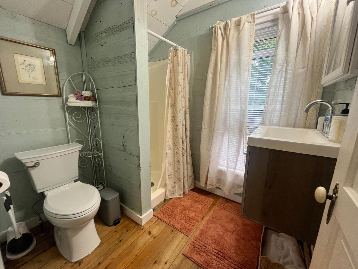 Historic Devoe House-Walk to Downtown Arts and Restaurants - B&B Wausau