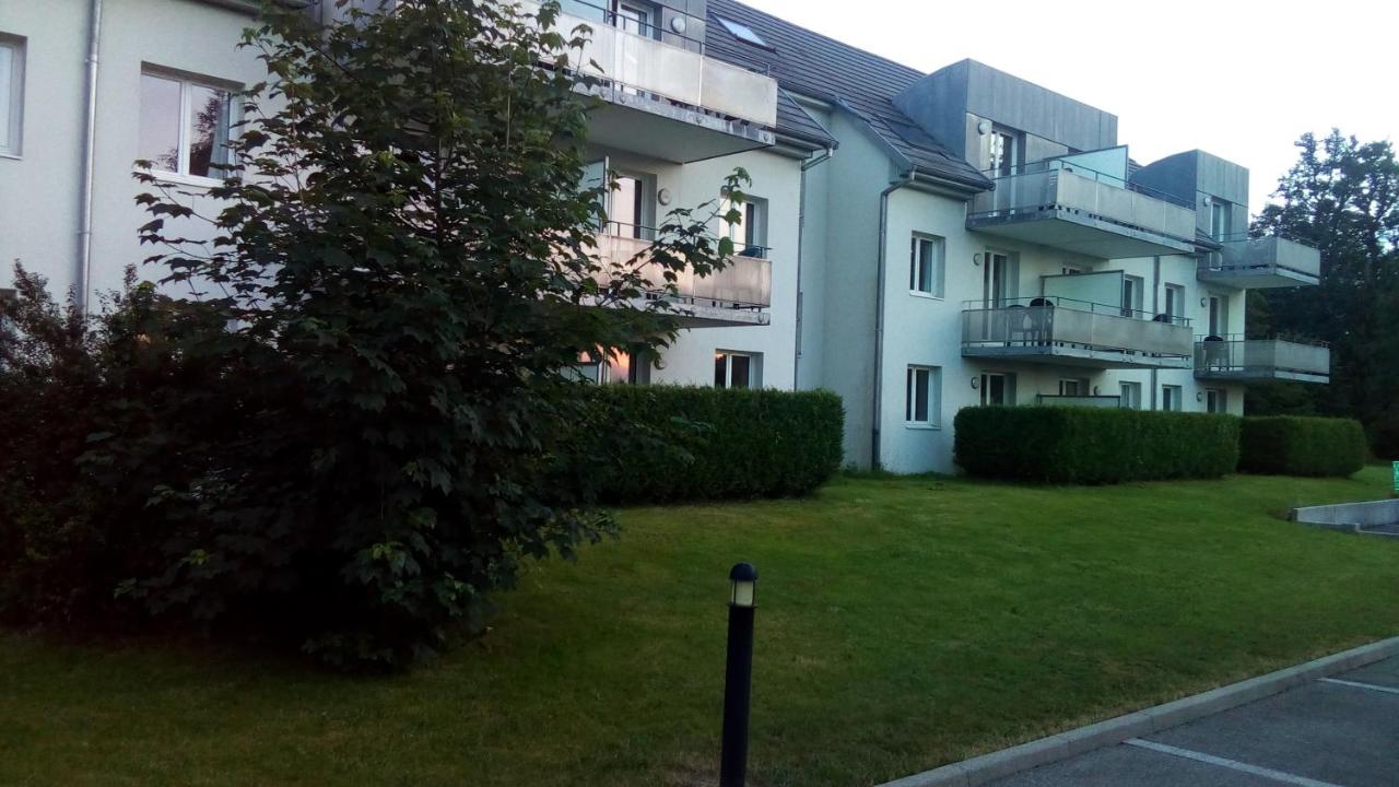 Le Roi du Sundgau près de la Horse - Mooslargue - B&B Mooslargue