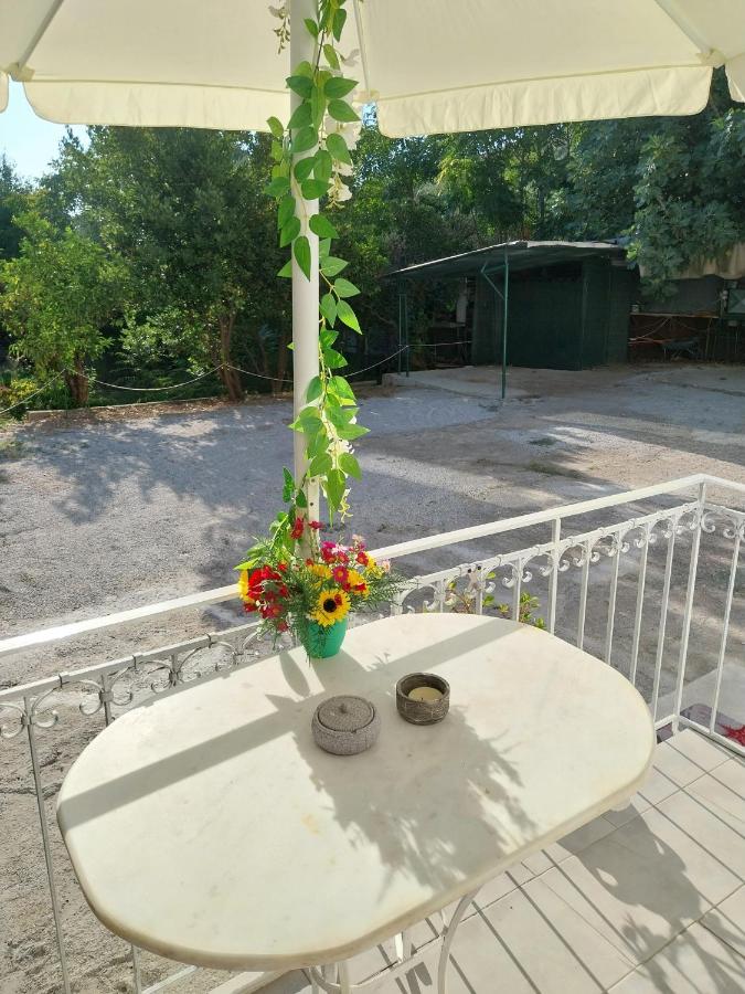 Green Living - B&B Mitilene