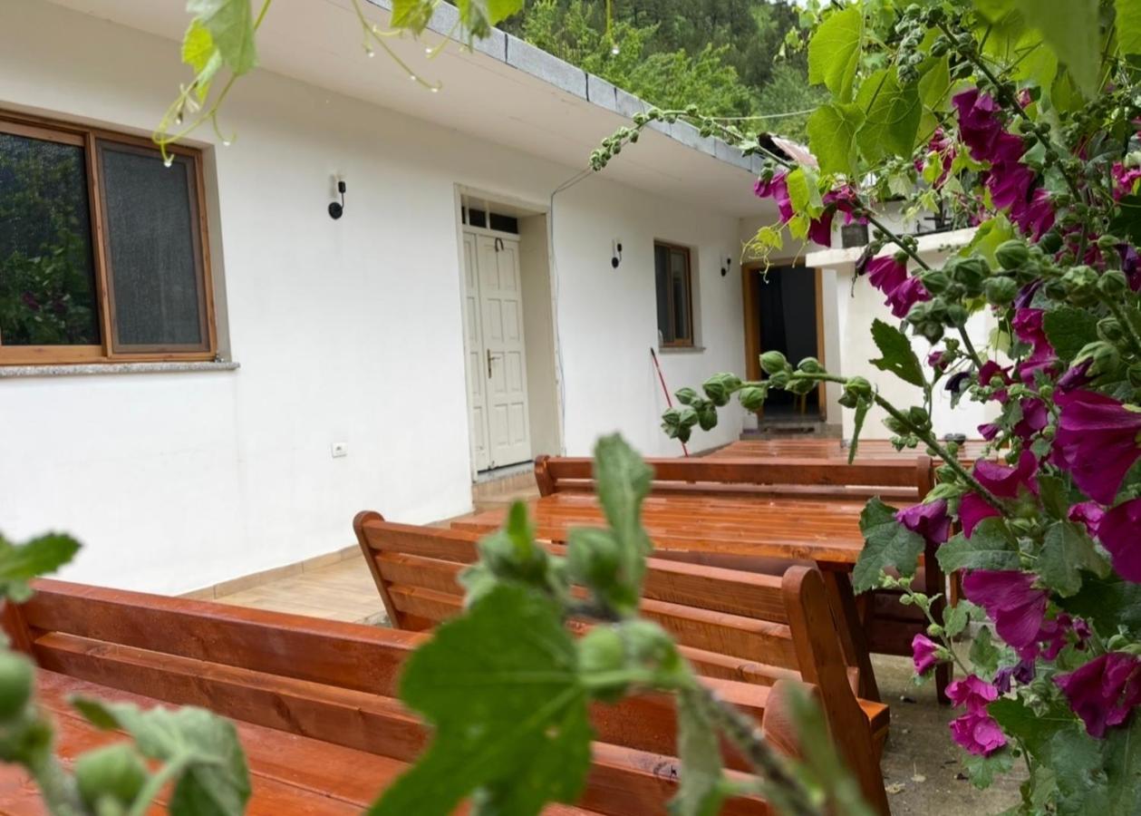 Thethi Mountain Guesthaouse - Bed and Breakfast Theth