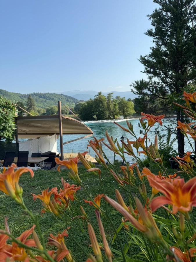 Royal Luxury Apartment - B&B Bihać