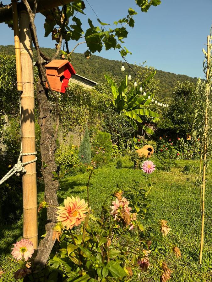 Mountain View - B&B