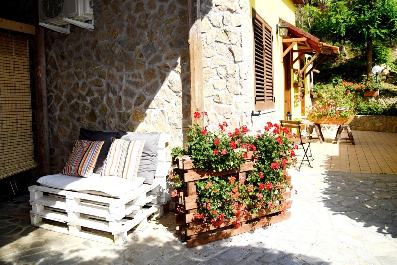 Agriturismo San Leonardo - B&B Centola