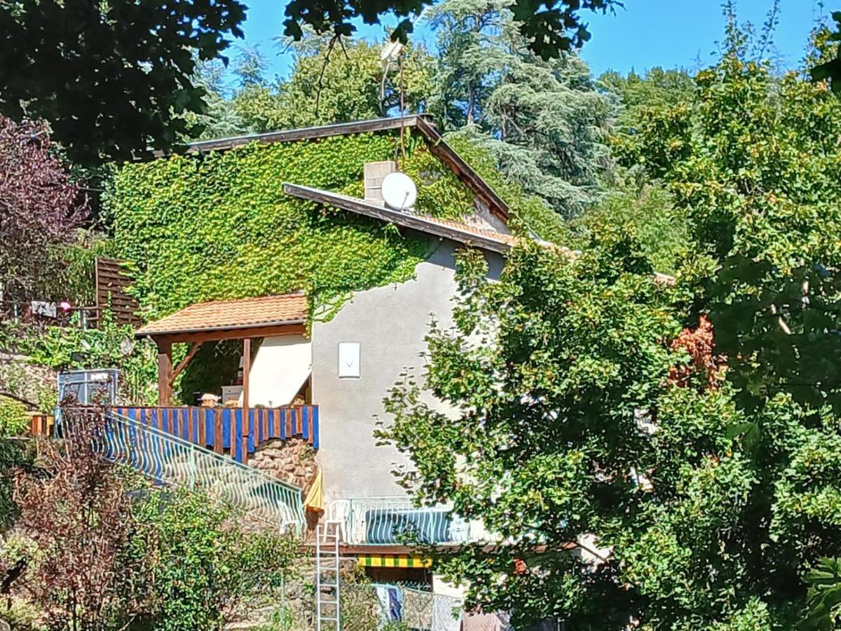 Le Chalet du Parc proche du safari parc de Peaugres - Bed and Breakfast Annonay