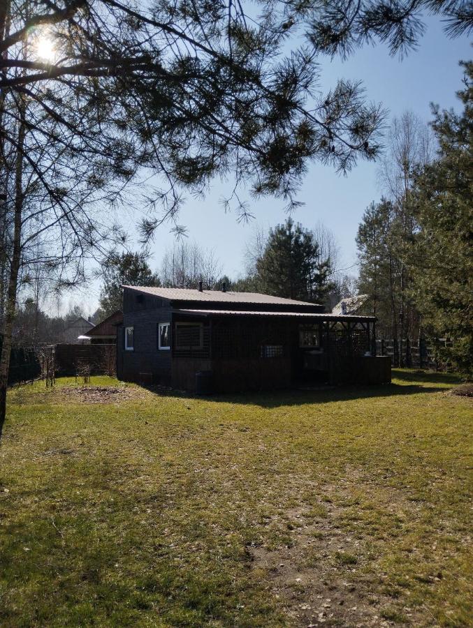 Zacisze the Skuzos - B&B Zdbice