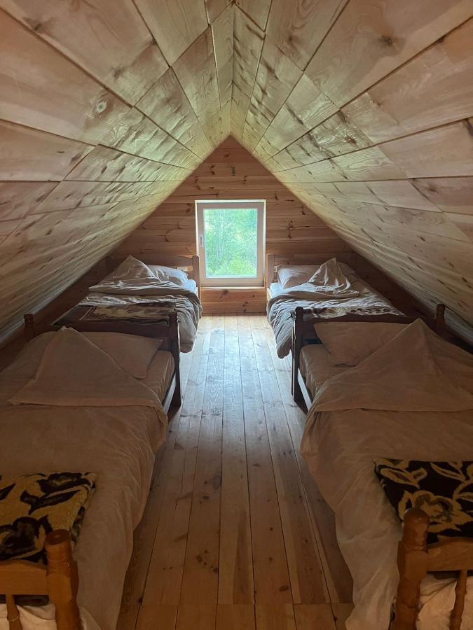 Somina - B&B Šavnik