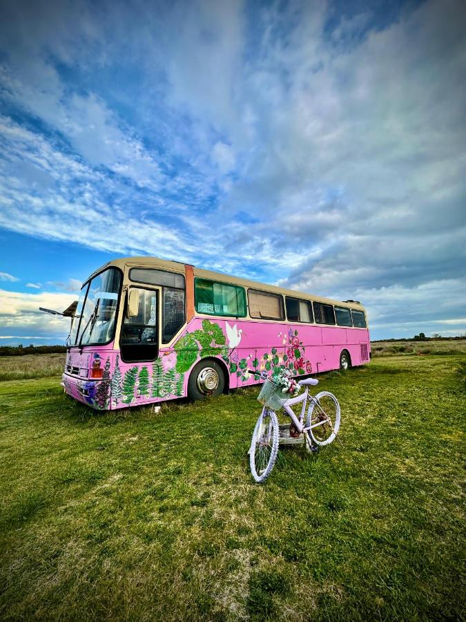 Bus Casa en observatorio de aves - B&B
