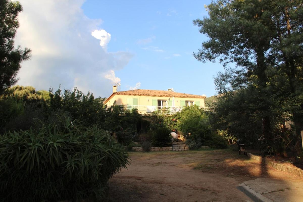 U PINU Appartement 3 chambres - B&B Olmeto